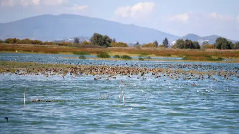 El lago de Texcoco. Foto Reuters.