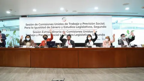 Foto: Cortesía Senado de la República