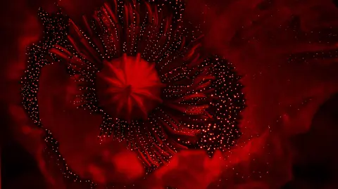 Foto: World Press Photo