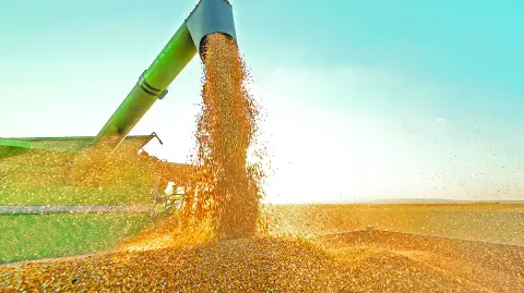 El trigo, un cereal de climas templados, se convirtió en pocos meses en un arma diplomática en el contexto de la invasión rusa contra Ucrania