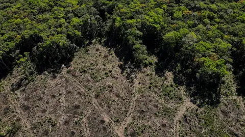 Vista aérea del bosque del Amazonas en Manaus. Foto: Reuters