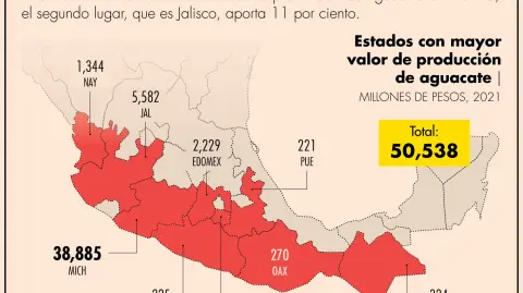 El cultivo y comercialización de aguacate tiene gran relevancia para la economía estatal