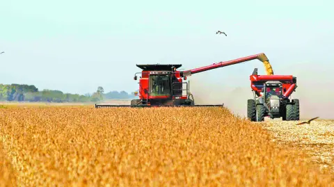El Plan promete sumar 878,000 empleos en el sector agro en la próxima década, a los 3.7 millones que hoy representan el 24% del total de empleo registrado en el país y, propone alcanzar la carbono neutralidad para el 2050.