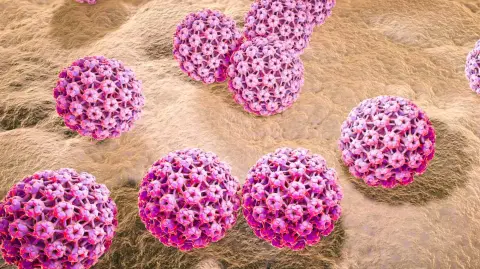 Virus del papiloma humano. Foto: Science Photo Library / The Conversation