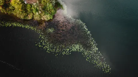 El programa Innovation for Ecosystem Restoration: LatAm 2023 esuna iniciativa de Village Capital con el fin de apoyar la restauración de ecosistemas naturales. Foto: Cortesía.