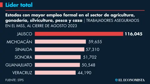 Jalisco es el estado del país con más trabajadores de actividades primarias asegurados en el IMSS; su número de empleos formales es casi el doble respecto a su perseguidor más cercano.