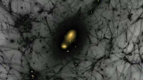 La imagen muestra la relación entre los filamentos del halo de materia oscura y las galaxias que habitan en ellos. Foto: Cortesía National Accelerator Laboratory.