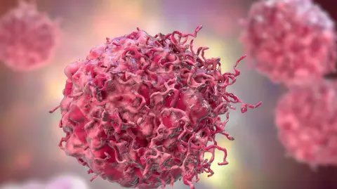 El efecto paralizante de los ultrasonidos es más intenso en las muestras “alimentadas”. Foto: Shutterstock.