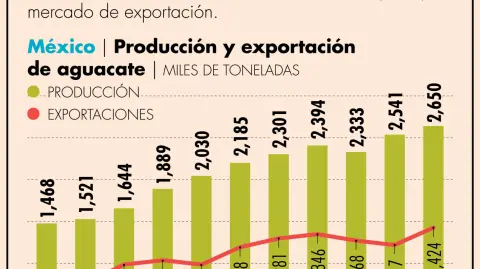 La producción mexicana de aguacate desde 2013 registró un crecimiento acumulado de 80.7%