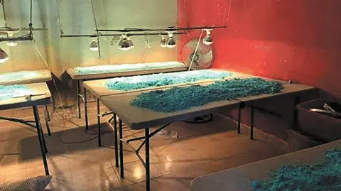 Mexican Army seized fentanyl pill manufacturing center and a methamphetamine lab, in Culiacan