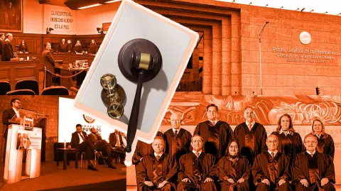 Ilustración EE: Nayelly Tenorio