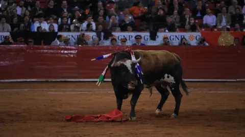 El matador Juan Pablo Sánchez en su participación en la Plaza México