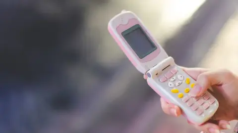 Es difícil confirmar cuántos dumbphones se venden en España actualmente. Estudios realizados por marcas comerciales, como SPC, apuntan que el 12.2 % de los usuarios ya ha cambiado su teléfono inteligente por un teléfono tonto. Ello apunta a que la tendencia al detox digital sigue ganando adeptos.