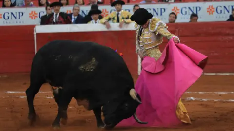 El matador Borja Jimenez, se llevó la noche en la Plaza de Toros la México, al cortar una oreja al toro Ron y Pan de la Ganadería José Garfias. Eric Lugo