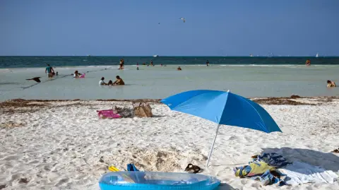 La conmemoración de la Constitución de 1917 trae consigo el primer megapuente del año.

Para más información del tema, visita: https://www.eleconomista.com.mx/politica/puente-5-febrero-celebra-quienes-aplica-descanso-20250131-744343.html

¡Síguenos en nuestras redes sociales para mantenerte informado!

Twitter: https://twitter.com/eleconomista 
Facebook: https://www.facebook.com/ElEconomista.mx
Instagram: https://www.instagram.com/eleconomistamx
LinkedIn: https://www.linkedin.com/company/el-economista/

#ElEconomista #EETV