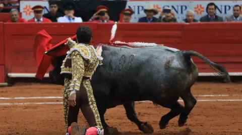 El torero Andrés Roca Rey conquistó la Plaza México.