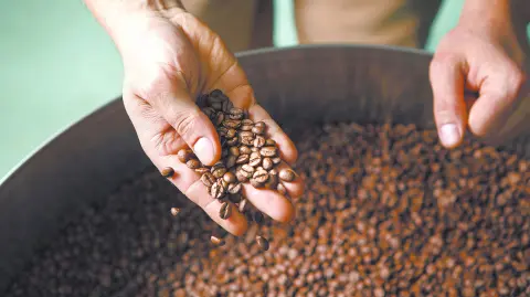 Starbucks no solo apoya la producción de café,  también impulsa el bienestar de las comunidades