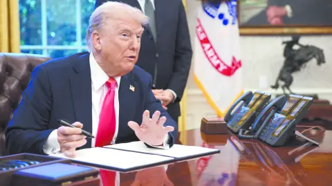 Descripción automática