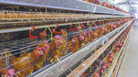 Descripción automática