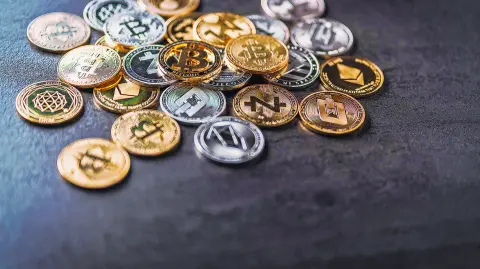 Descripción automática