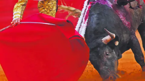 Descripción automática