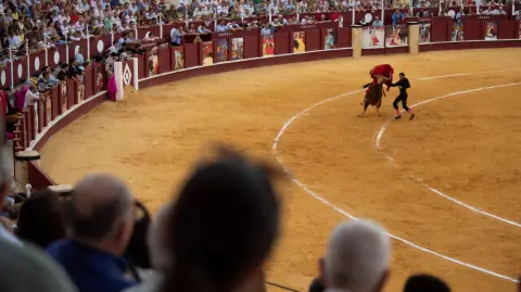 El objetivo de la prohibición es transformar las corridas en un “espectáculo sin violencia”, respetando los derechos de los seres vivos.

Para más información del tema, visita: https://www.eleconomista.com.mx/politica/cdmx-publica-gaceta-oficial-reforma-prohibe-corridas-toros-violencia-20250325-751989.html

¡Síguenos en nuestras redes sociales para mantenerte informado!

Twitter: https://twitter.com/eleconomista 
Facebook: https://www.facebook.com/ElEconomista.mx
Instagram: https://www.instagram.com/eleconomistamx
LinkedIn: https://www.linkedin.com/company/el-economista/

#ElEconomista #EETV