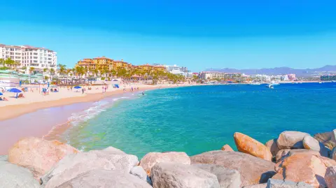 Descripción automática