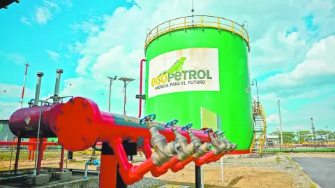 Descripción automática