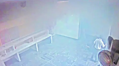 Descripción automática