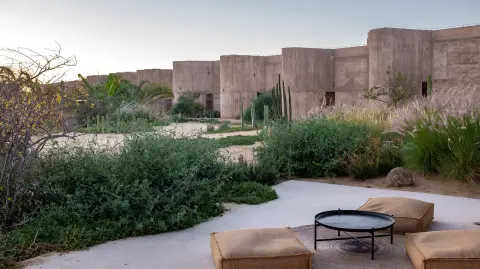 Diseño Alejandra de la Cerda.