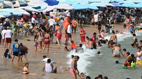 De acuerdo con cifras de la Secretaría de Turismo Municipal, en 2023, antes del azote del huracán Otis, había 19,600 habitaciones y según el presidente de la AHETA, José Luis Smithers Jiménez, ya están en operación 15,004.

Para más información del tema, visita: https://www.eleconomista.com.mx/politica/ano-medio-otis-acapulco-recupero-75-oferta-hotelera-20250419-755502.html 

¡Síguenos en nuestras redes sociales para mantenerte informado!

Twitter: https://twitter.com/eleconomista 
Facebook: https://www.facebook.com/ElEconomista.mx
Instagram: https://www.instagram.com/eleconomistamx
LinkedIn: https://www.linkedin.com/company/el-economista/

#ElEconomista #EETV