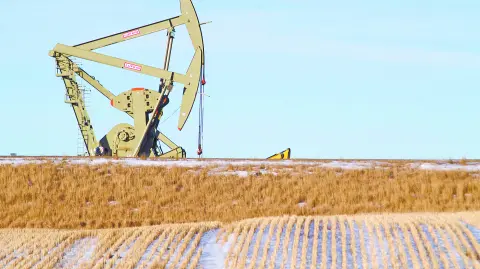 Descripción automática