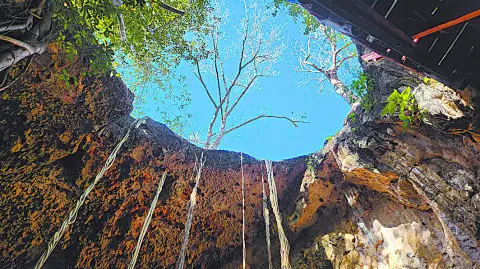 Las habitaciones tipo tent combinan diseño contemporáneo, lujo consciente y vistas extraordinarias al ecosistema natural de Yucatán.
