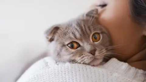 Convivir con un gato puede reducir el estrés, la ansiedad y la tristeza.