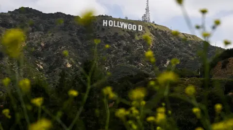 Spring flowers stand on a hillside around Lake Hollywood Park beneath the Hollywood sign in Hollywood, California, on May 12, 2025. (Photo by Patrick T. Fallon / AFP)