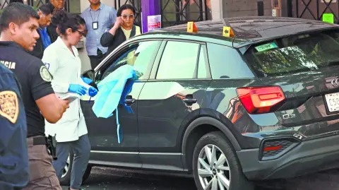 Descripción automática