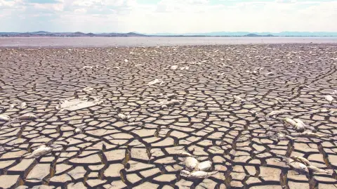 Descripción automática