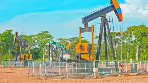 Descripción automática