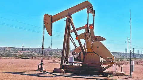 Descripción automática