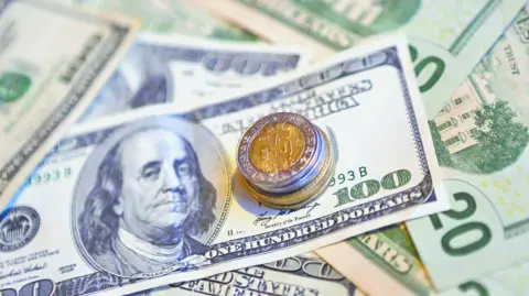 Descripción automática