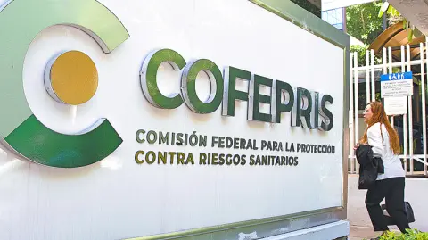 Descripción automática