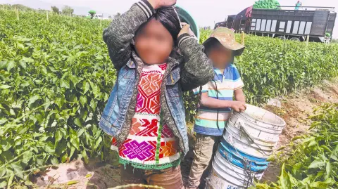 Descripción automática