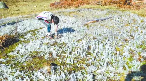 Descripción automática