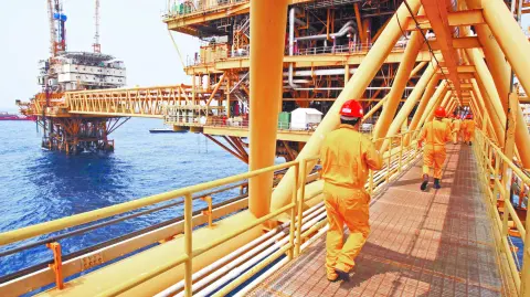 Descripción automática