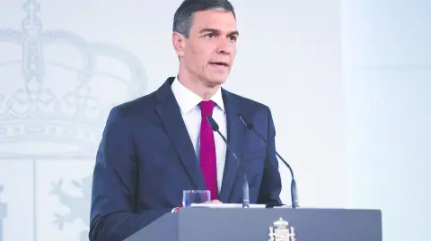 Descripción automática