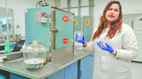 Descripción automática