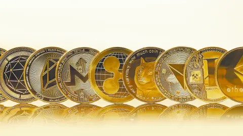 Descripción automática