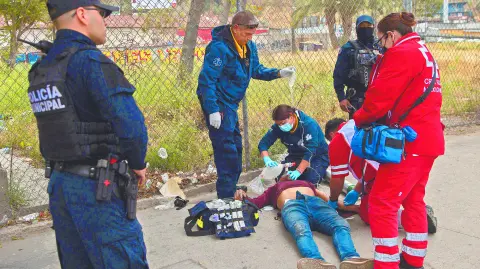 Descripción automática