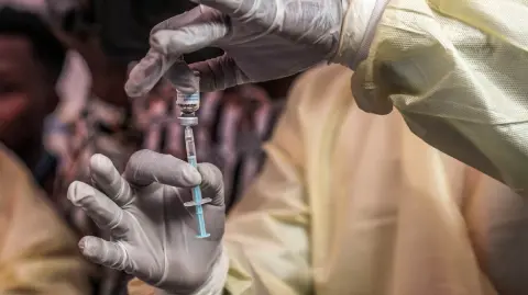 No obstante, la OMS señala que la transmisión comunitaria del mpox del clado Ib sigue limitada a los países de África Central y Oriental.

Para más información del tema, visita: https://www.eleconomista.com.mx/internacionales/oms-reporta-6-800-casos-mpox-mayo-foco-africa-20250627-765672.html 

¡Síguenos en nuestras redes sociales para mantenerte informado!

Twitter: https://twitter.com/eleconomista 
Facebook: https://www.facebook.com/ElEconomista.mx
Instagram: https://www.instagram.com/eleconomistamx
LinkedIn: https://www.linkedin.com/company/el-economista/

#ElEconomista #EETV #VirueladelMono