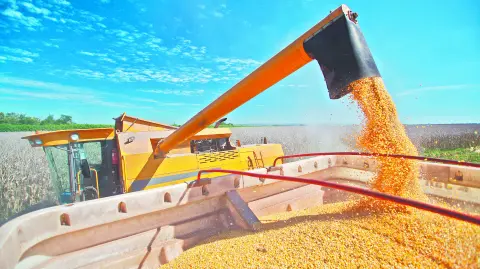 Descripción automática